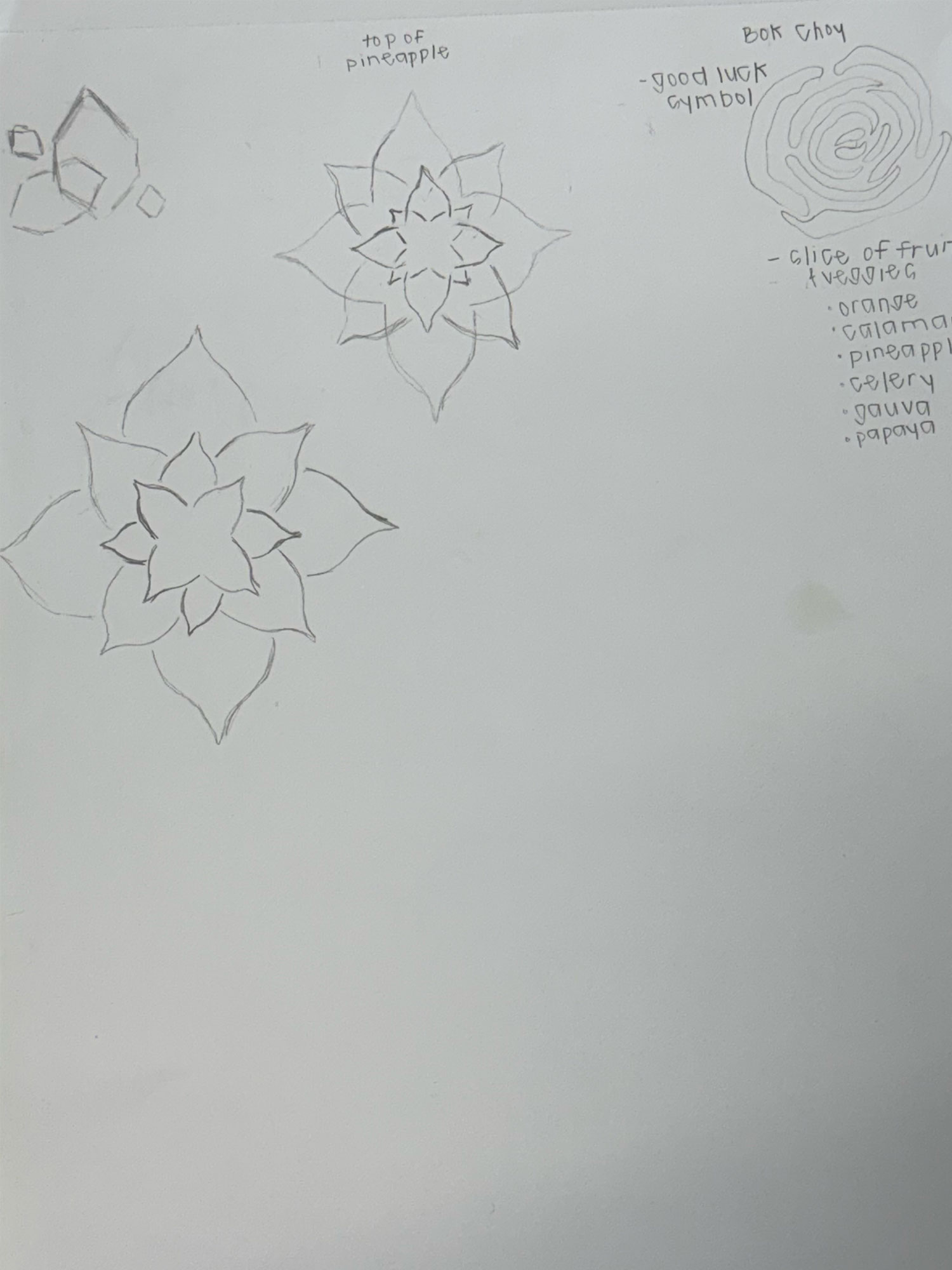 Sketches for book cover