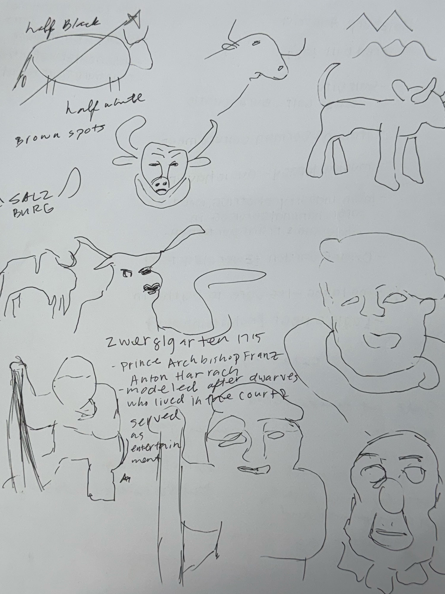Sketches for Salzburg logo