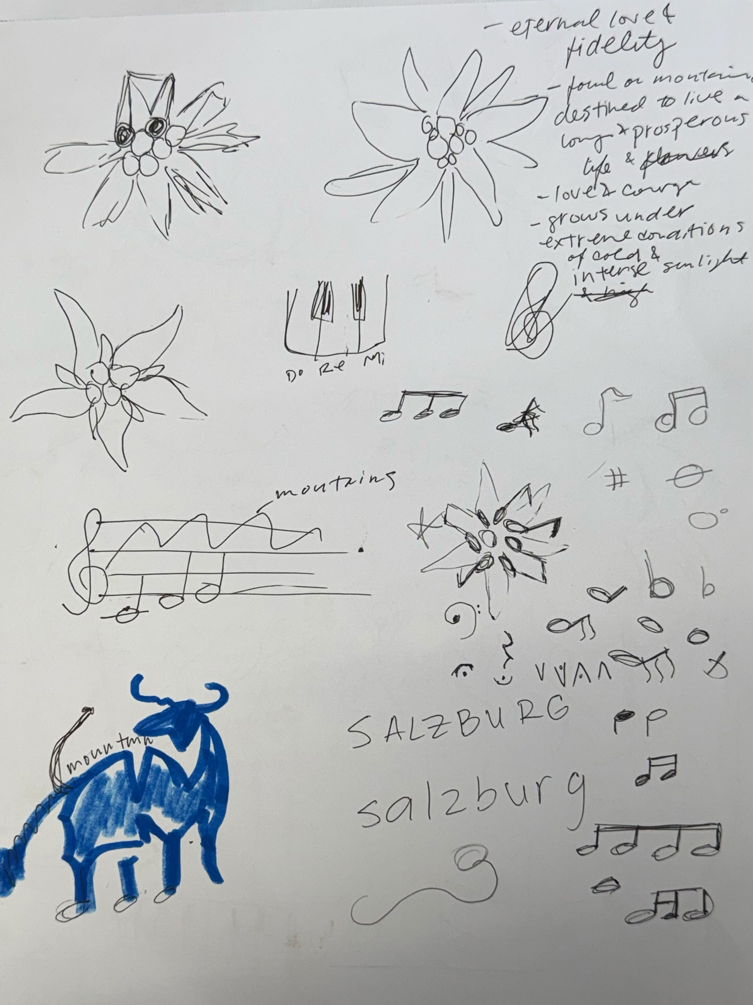 Sketches for Salzburg logo